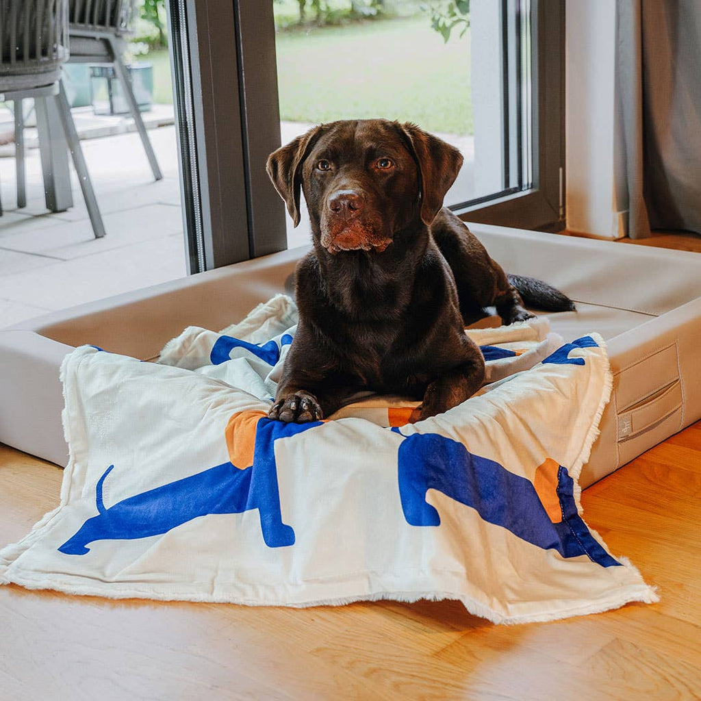 HEY LANA Hundedecke COZY PUP