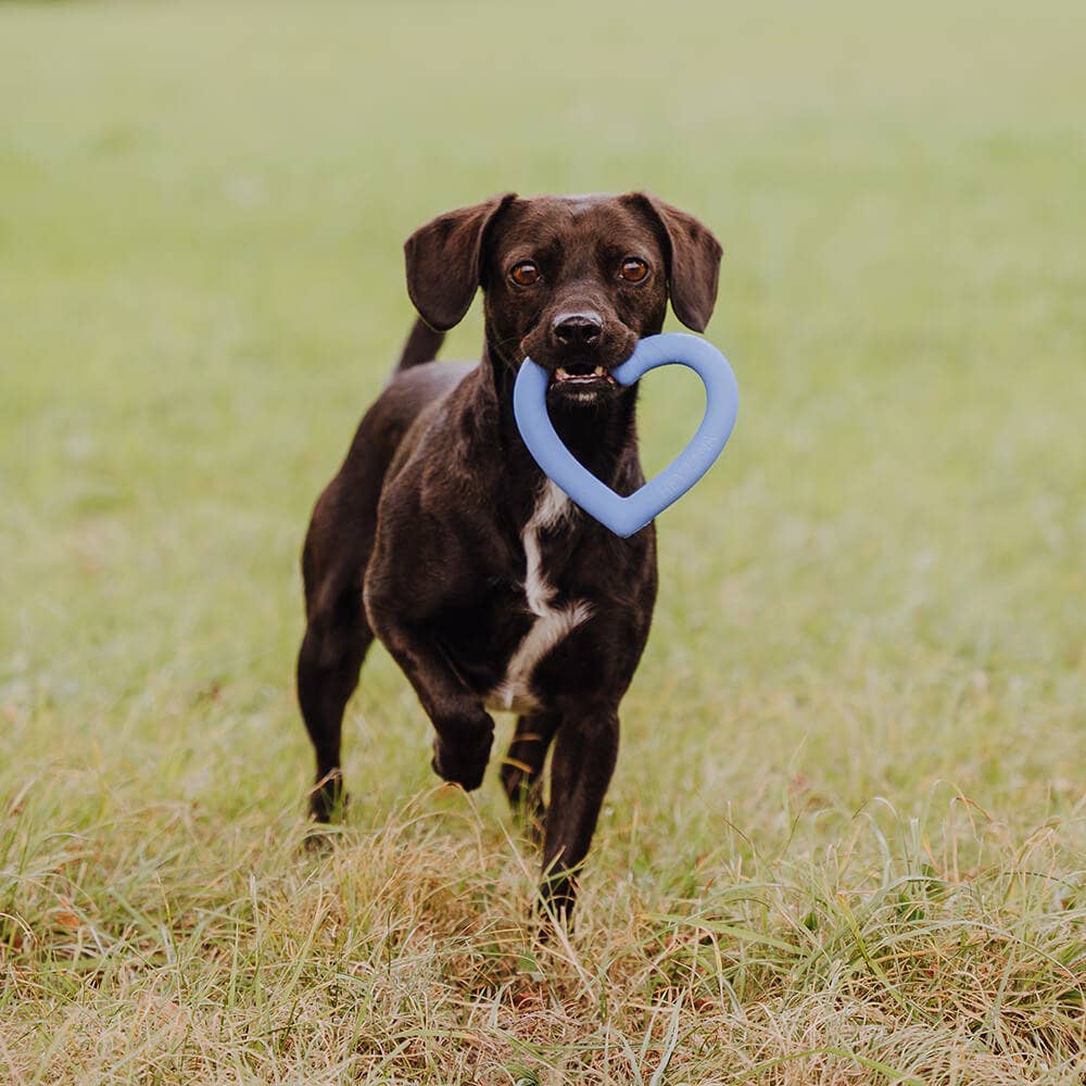HEY LANA Hundespielzeug LOVE YOUR PAW