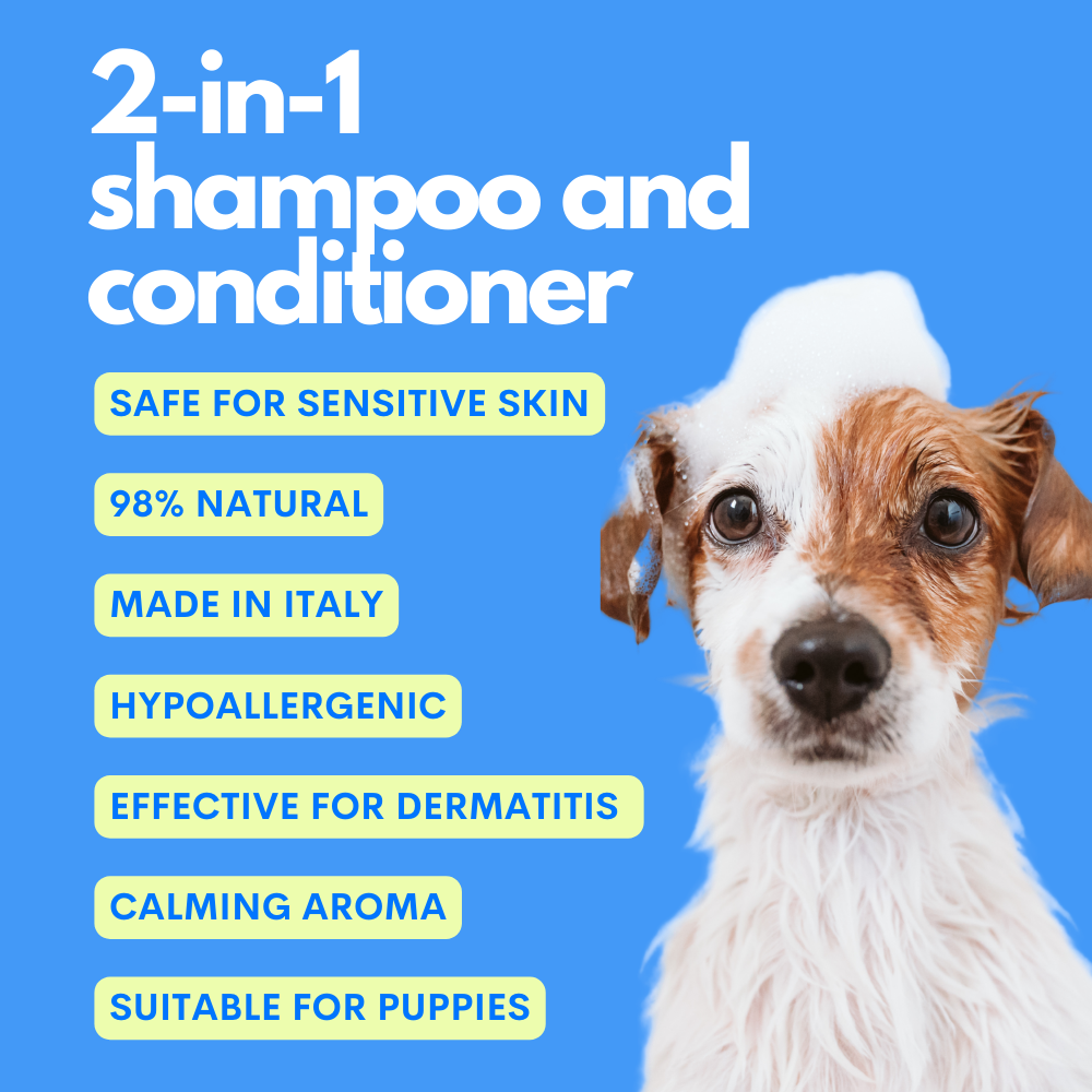 JAMPY Shampoo/Conditioner NUMBER ONE