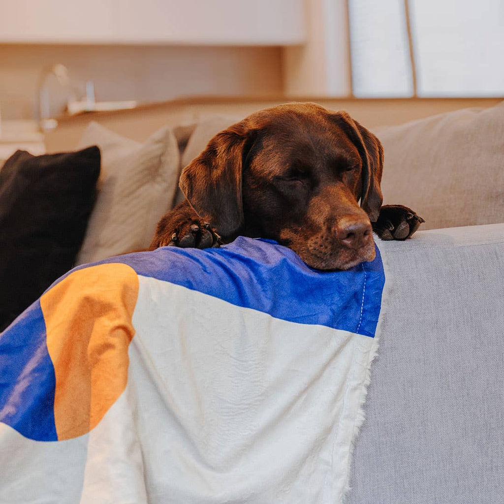 HEY LANA Hundedecke COZY PUP