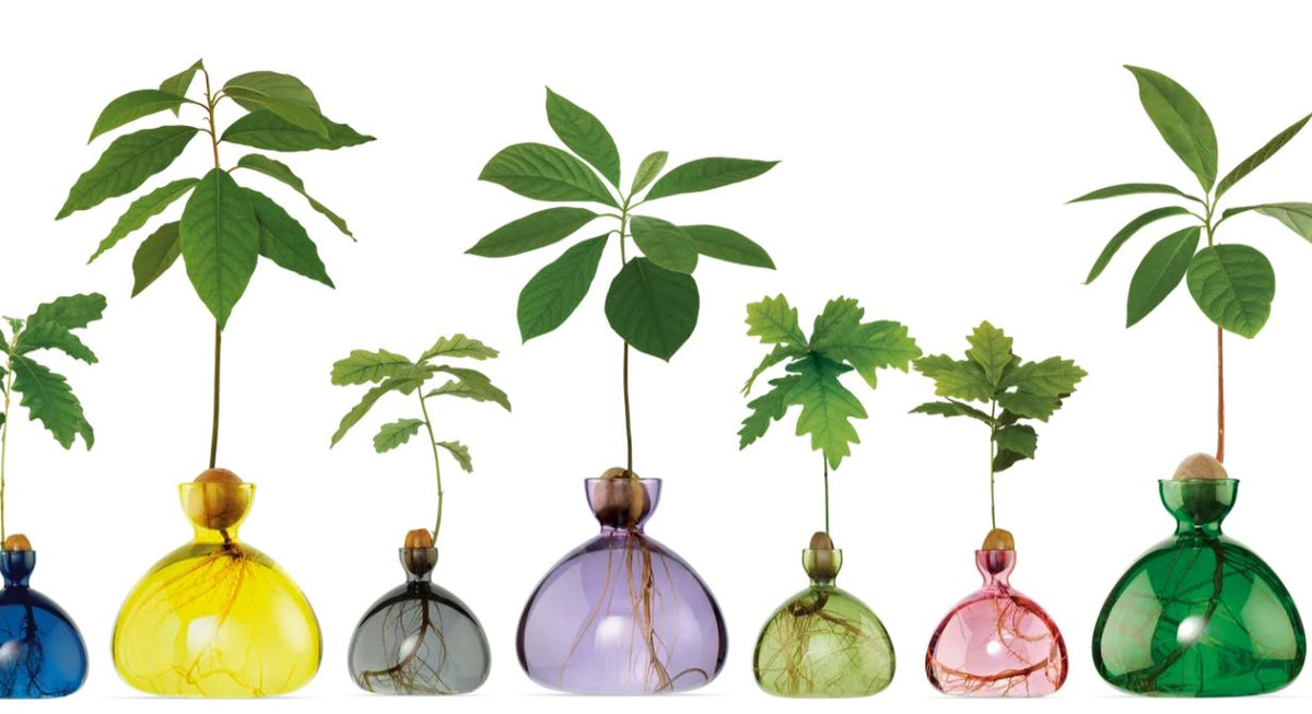 ILEX STUDIO Vase ACORN