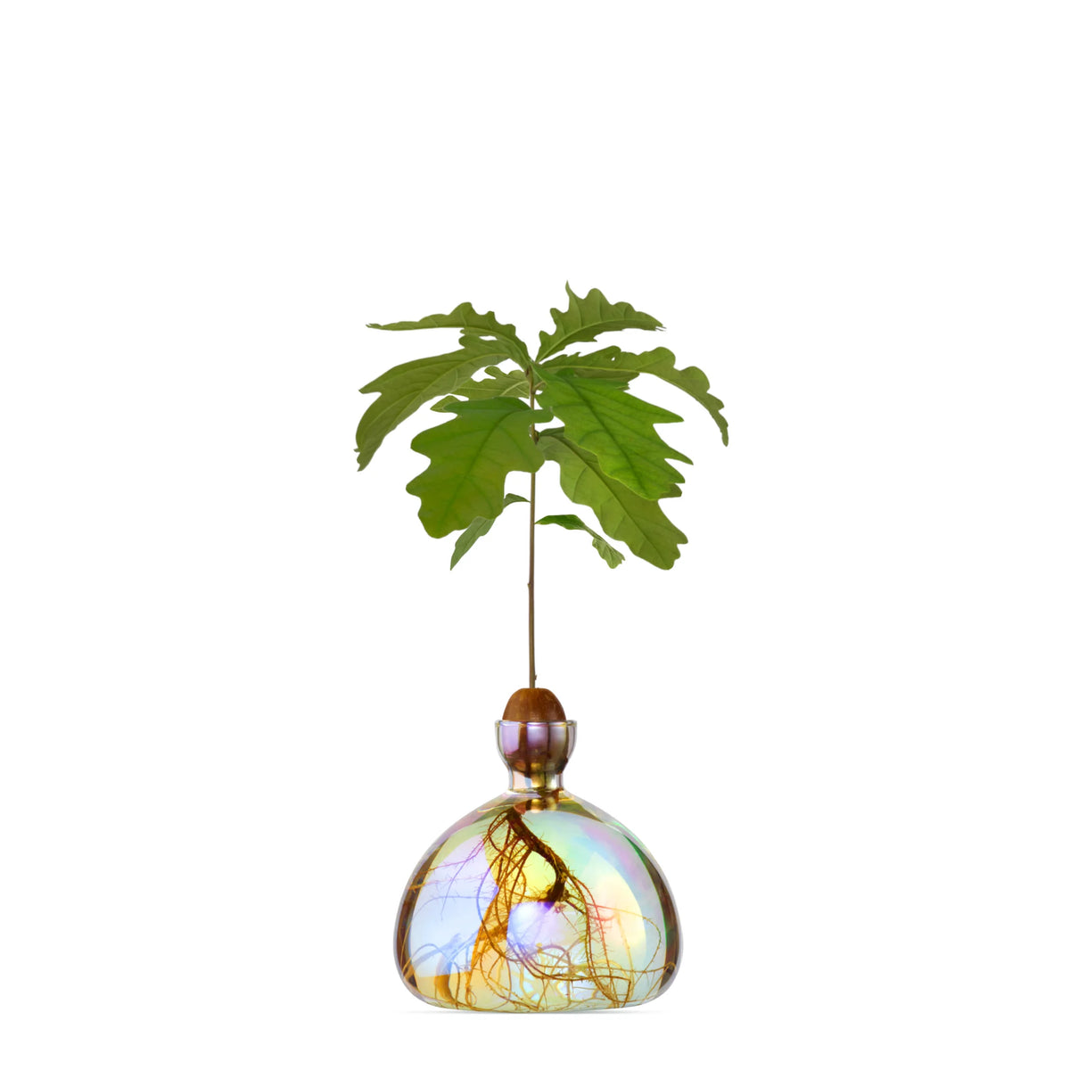 ILEX STUDIO Vase ACORN