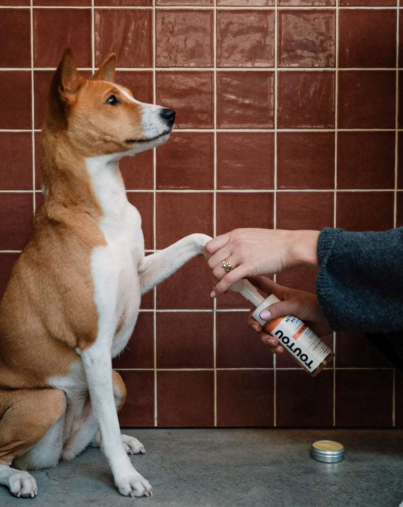 Pfotenreiniger für Hunde TOUTOUT
