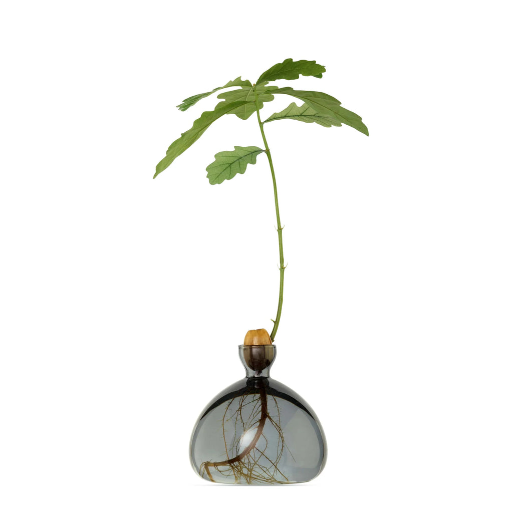 ILEX STUDIO Vase ACORN