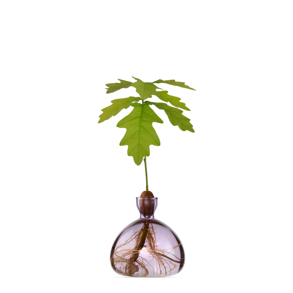 ILEX STUDIO Vase ACORN
